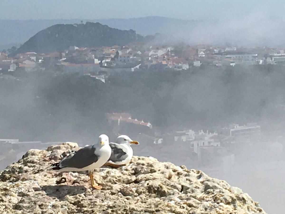 Sitio Ocean Views Apartment Nazare Bagian luar foto