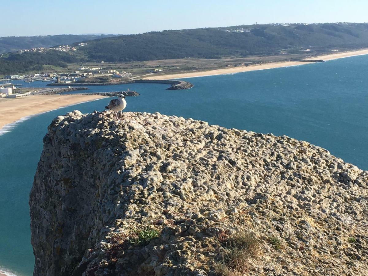Sitio Ocean Views Apartment Nazare Bagian luar foto